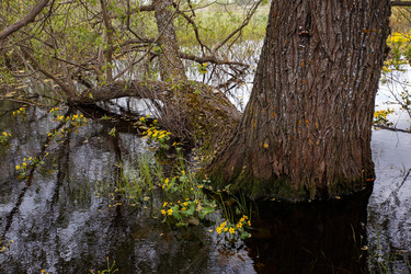 Similar image 21443776