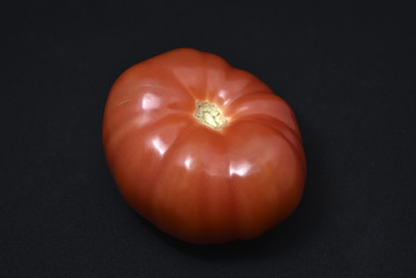 Similar image 21443778