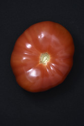 Similar image 21443779