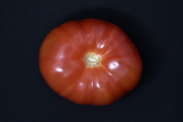 Similar image 21443786