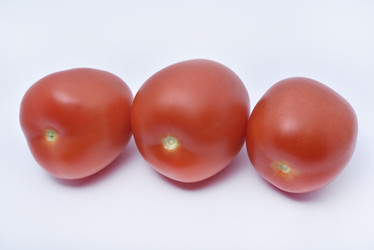 Similar image 21443789