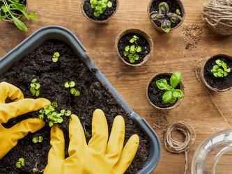 Similar image 21471717