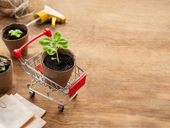 Similar image 21471720