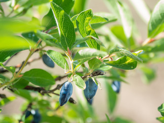 Similar image 21471721