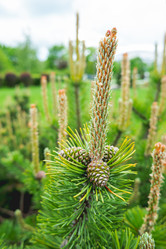 Similar image 21471737