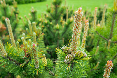 Similar image 21471738