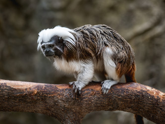 Similar image 21468211