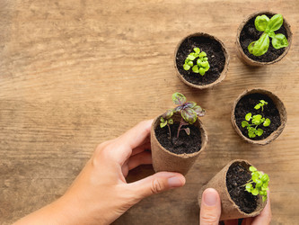 Similar image 21443792