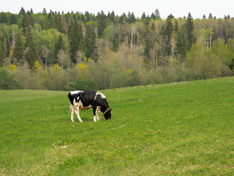 Similar image 21468212