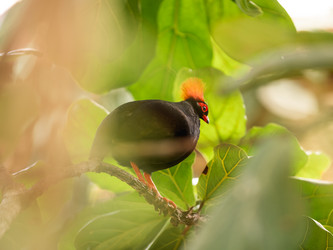 Similar image 21468214