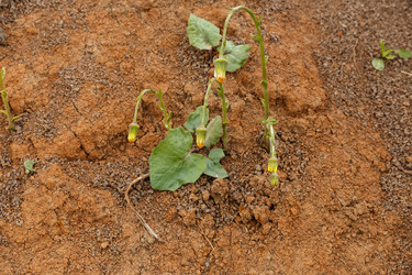 Similar image 21451935