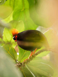 Similar image 21468215