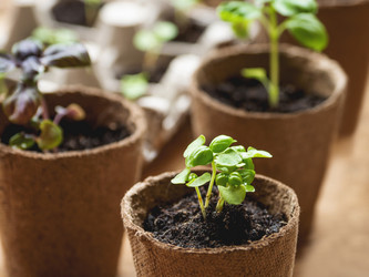 Similar image 21443796