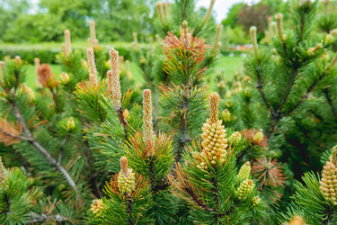 Similar image 21471756