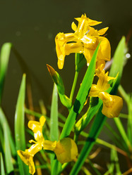 Similar image 21471760