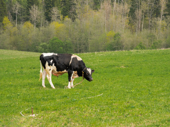 Similar image 21444208