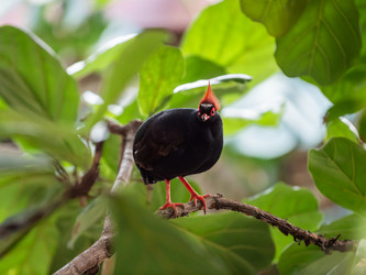 Similar image 21443800