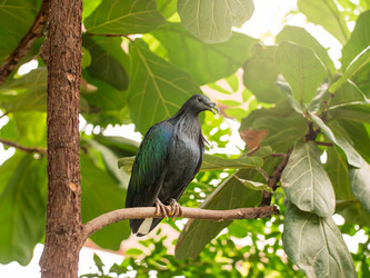 Similar image 21443801