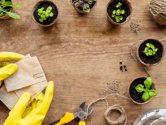 Similar image 21443805