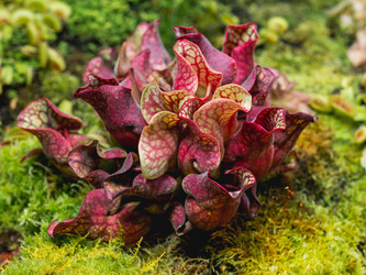 Similar image 21471767