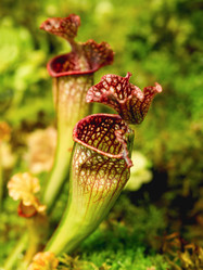 Similar image 21468216