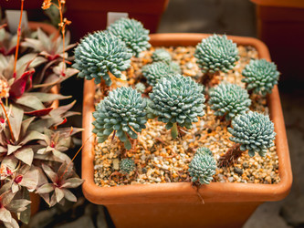 Similar image 21443808