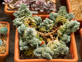 Similar image 21443809