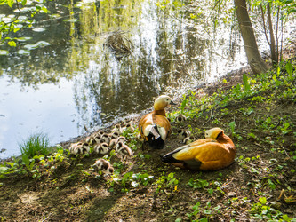 Similar image 21443810