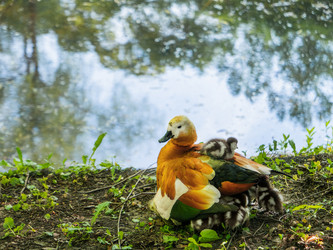 Similar image 21443811