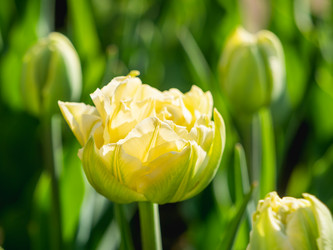 Similar image 21444209