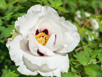 Similar image 21471769