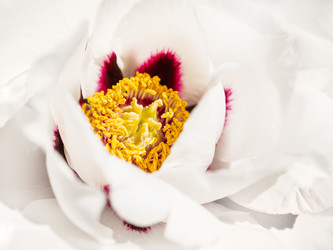 Similar image 21471770