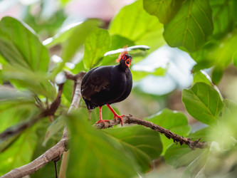 Similar image 21443818