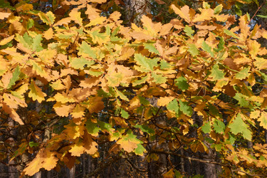 Similar image 21445219