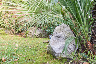 Similar image 21445222