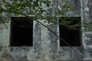 Similar image 21445225