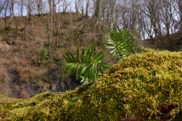 Similar image 21445226