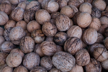 Similar image 21444150