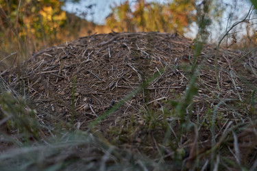 Similar image 21444155