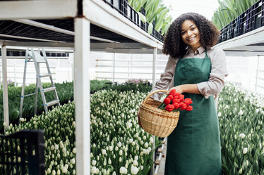 Similar image 21464154