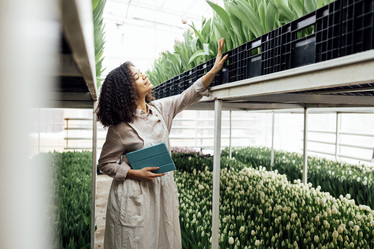 Similar image 21464156