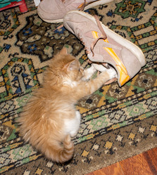 Similar image 21445031