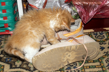 Similar image 21445032