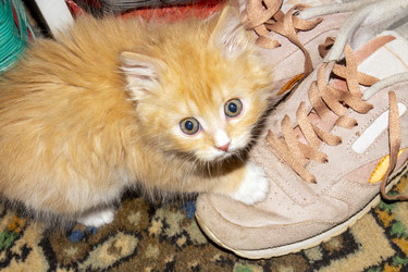 Similar image 21445033