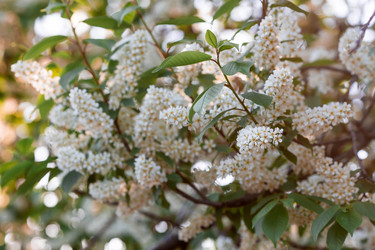 Similar image 21444294