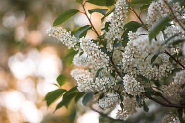 Similar image 21444295