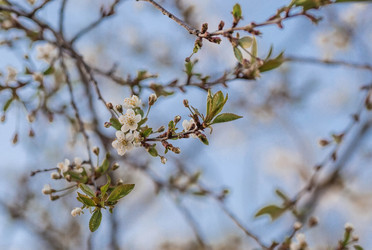 Similar image 21444297