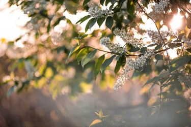 Similar image 21444298