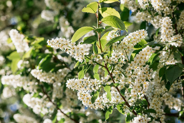 Similar image 21444299