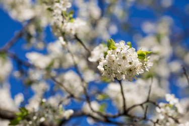 Similar image 21444300